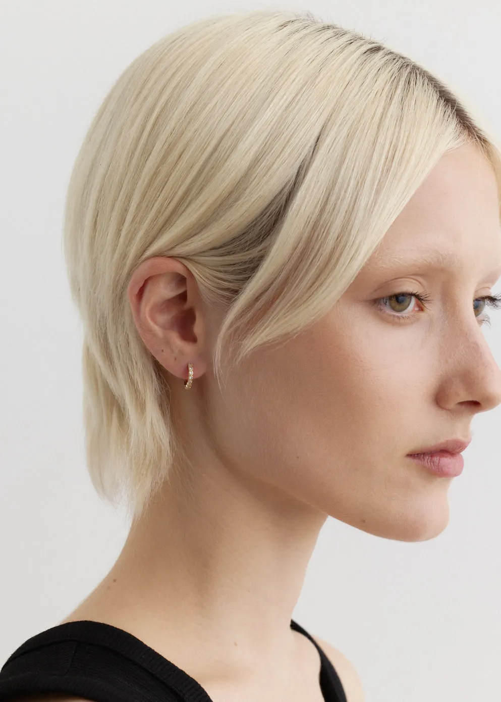 Crystal Hoops