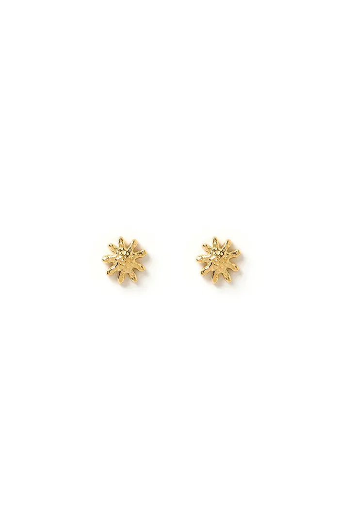 Magnolia Gold Earrings Mini
